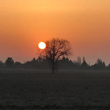 Aux Oiseaux Lyons-la-Forêt