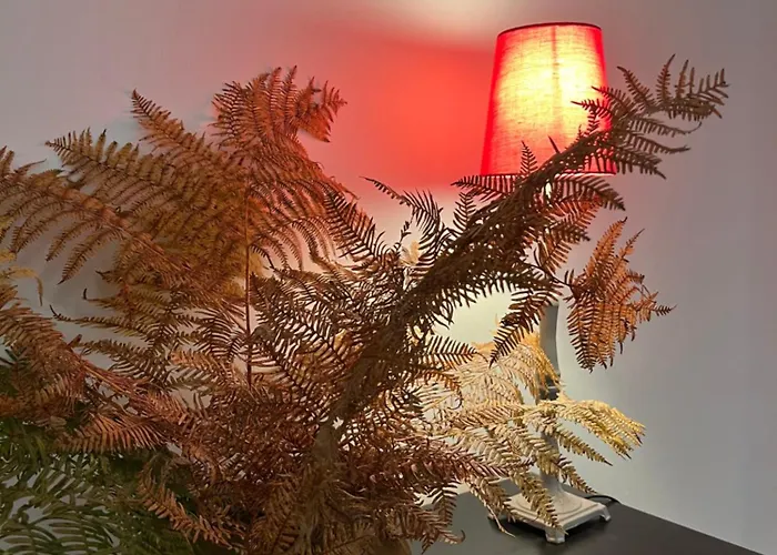 Aux Oiseaux Bed & Breakfast *